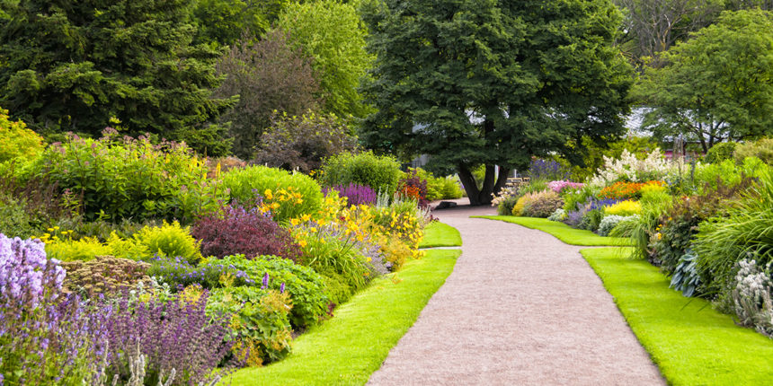 Beautiful colorful garden