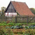 Starting a Vegetable Garden